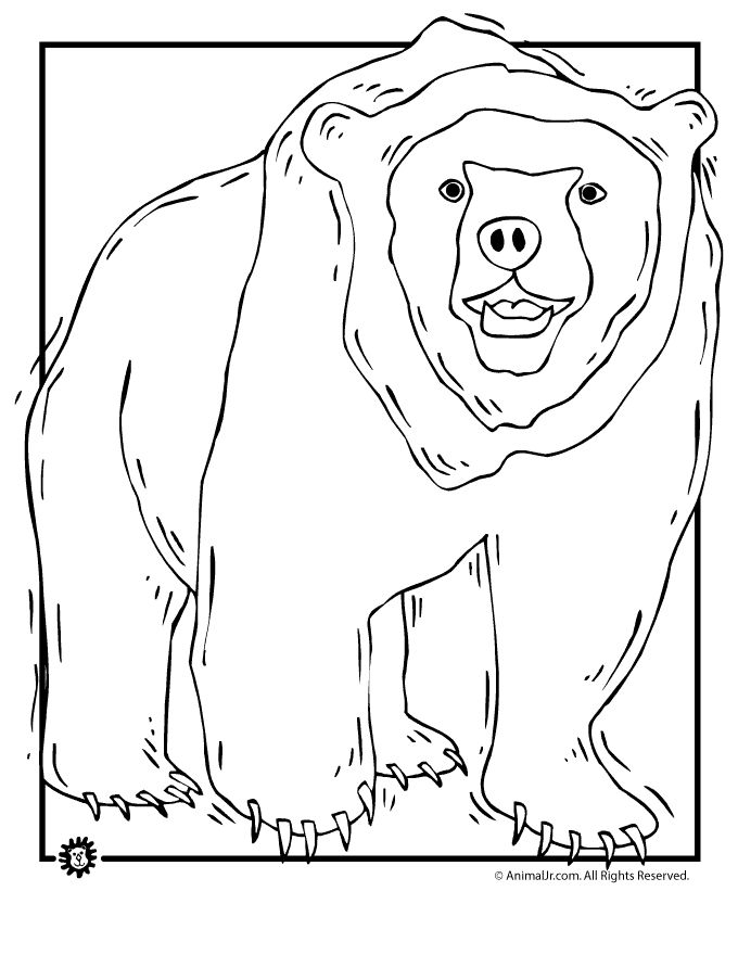 Grizzly bear coloring page animal jr bear coloring pages polar bear coloring page coloring pages