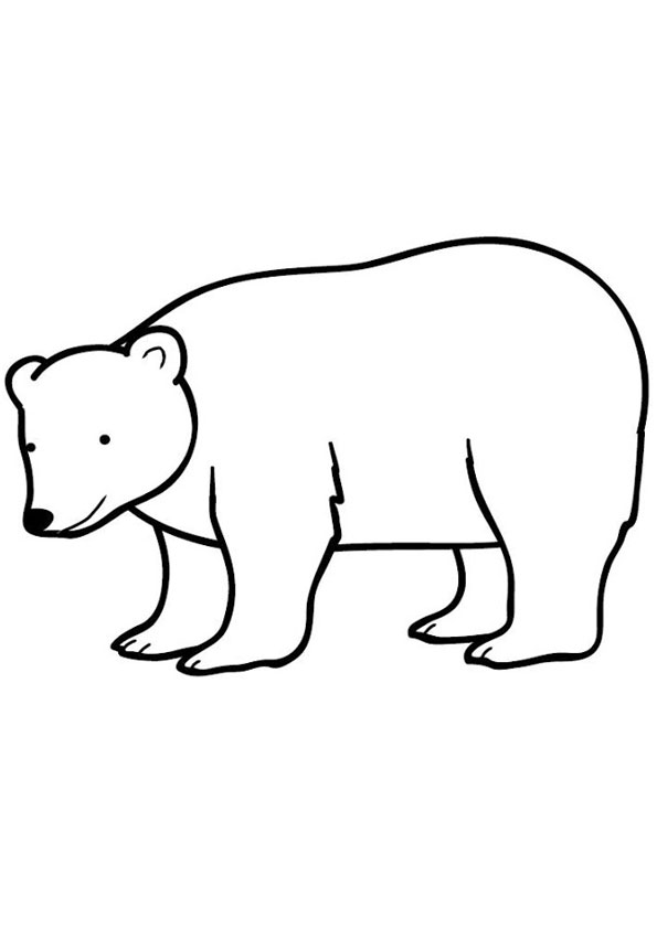 Coloring pages bear coloring pages