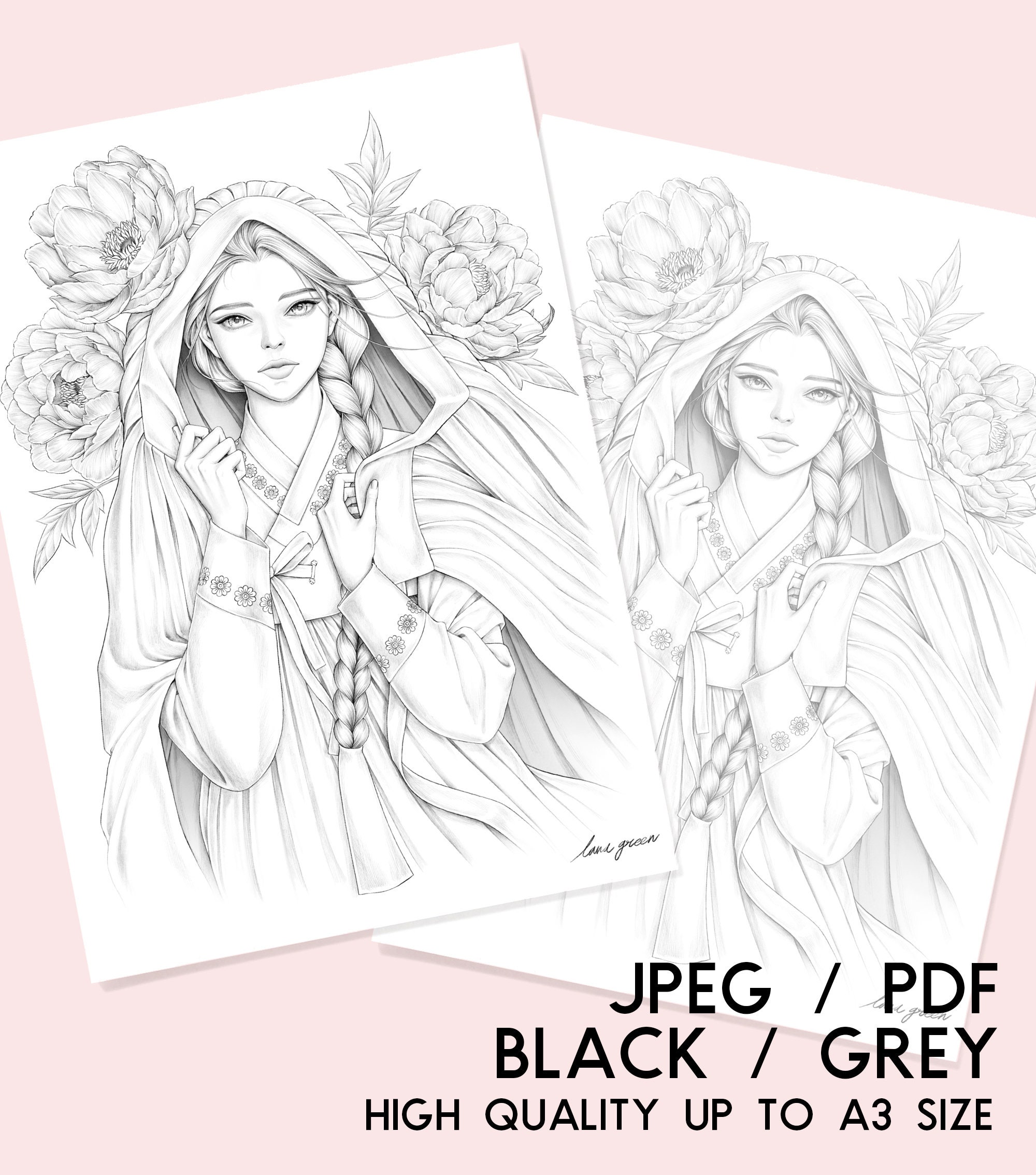 Han coloring page for adults grayscale coloring page instant download lana green art jpeg pdf