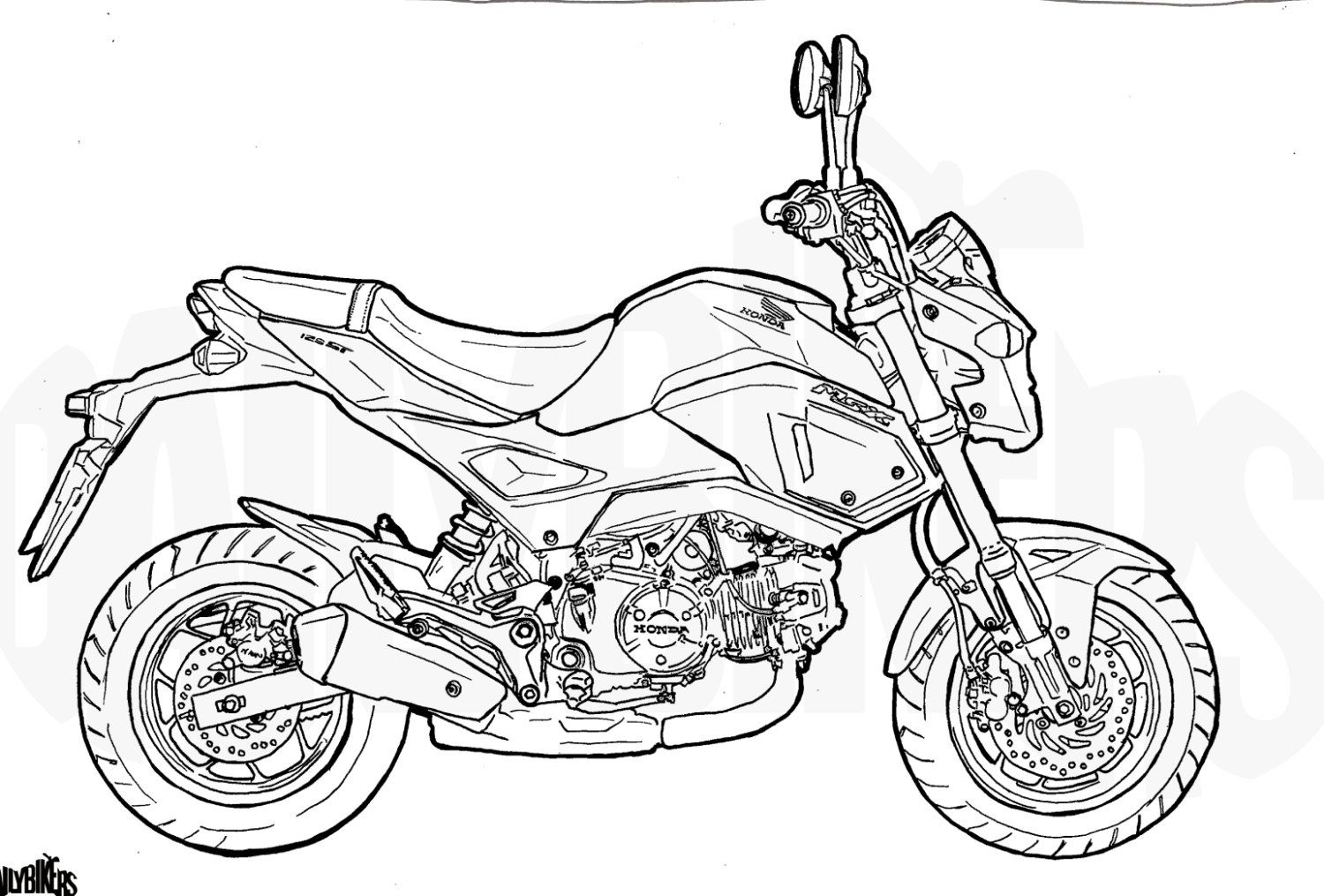 Honda grom colouring page