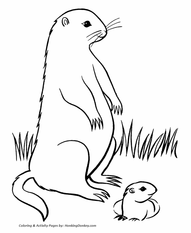 Groundhog day coloring pages