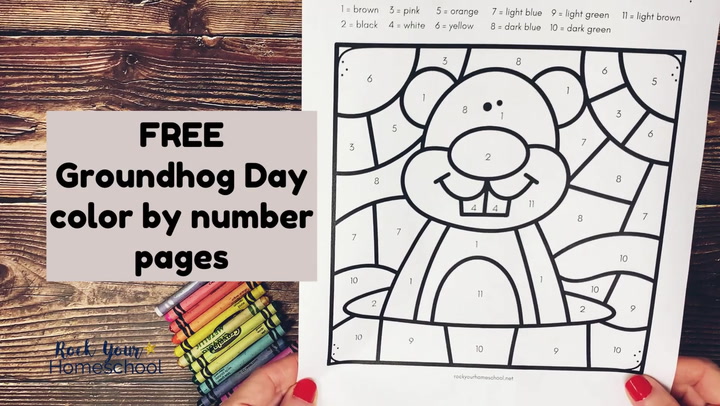 Groundhog day color by number pages for fantastic fun free