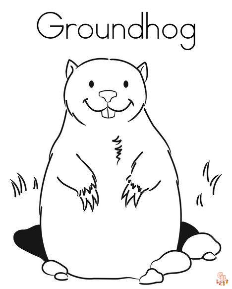 Groundhog coloring pages creative and educational fun for kids