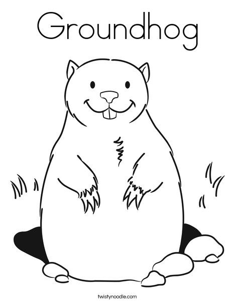 Groundhog coloring page groundhog day groundhog day activities flag coloring pages