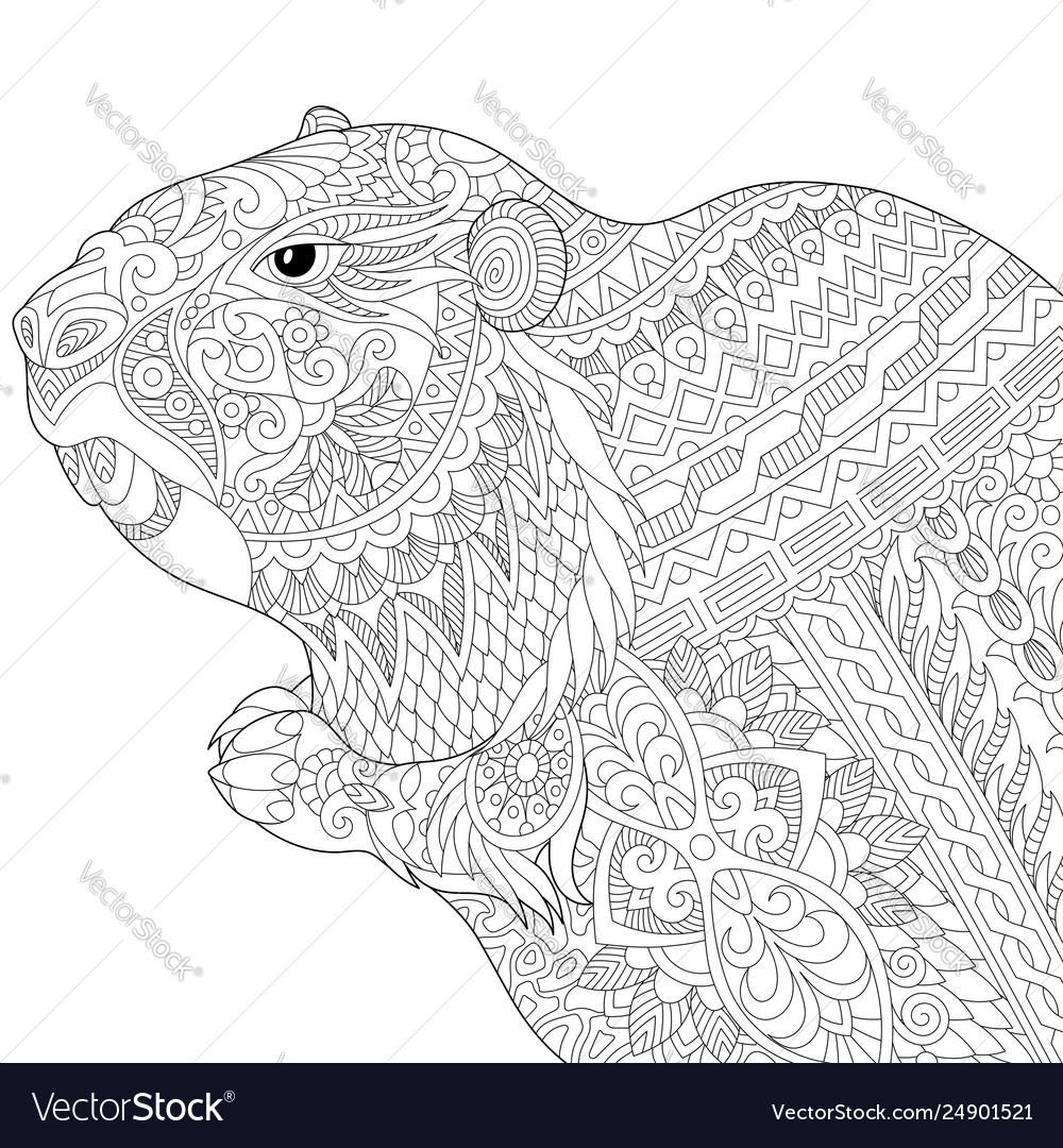 Groundhog adult coloring page royalty free vector image