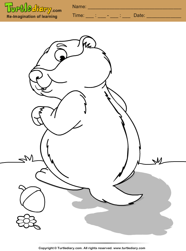 Groundhog coloring page turtle diary