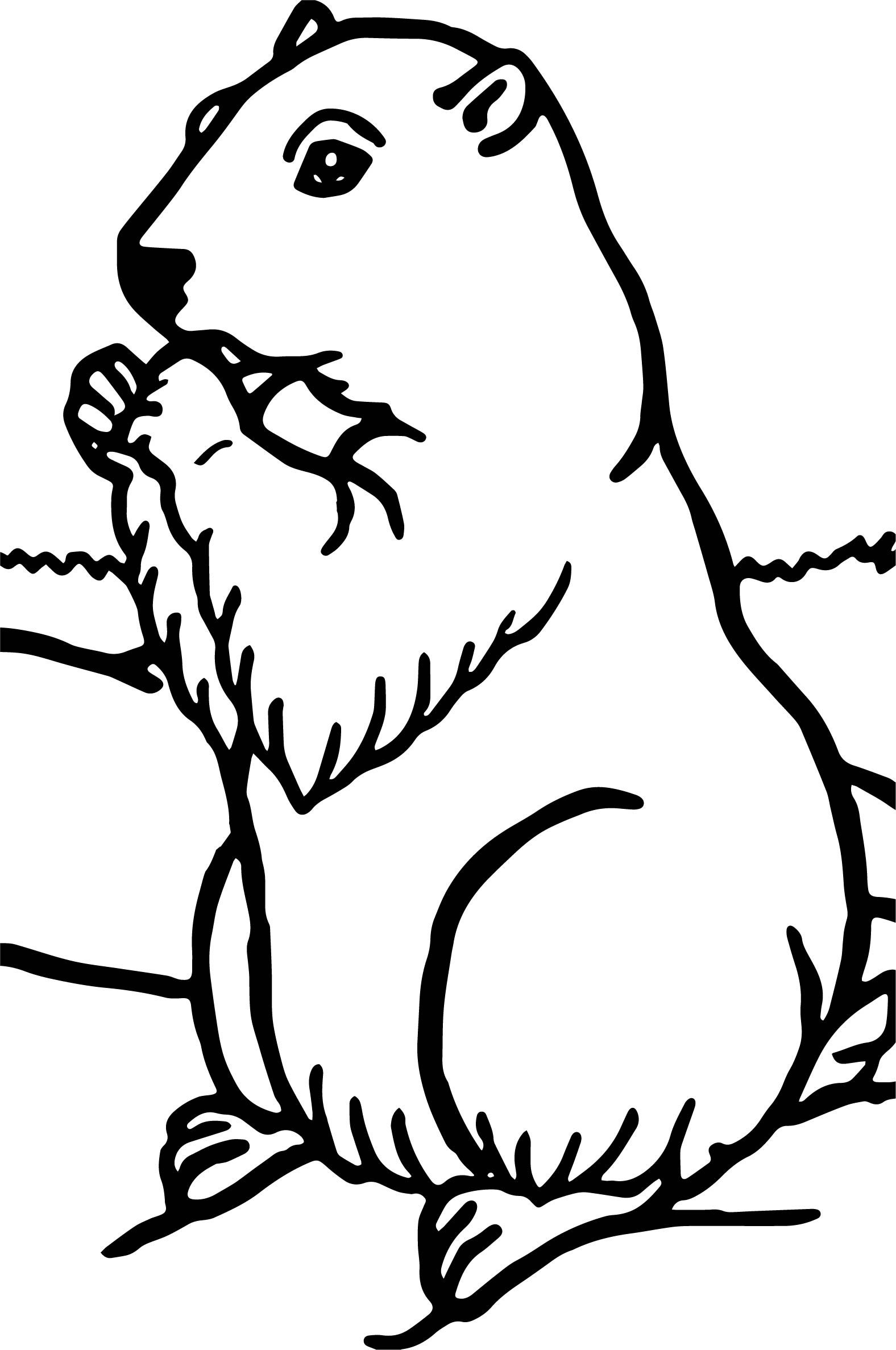 Printable coloring pages animal coloring pages coloring pages coloring pictures