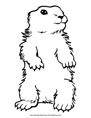 Standing groundhog coloring page â free printable pdf from