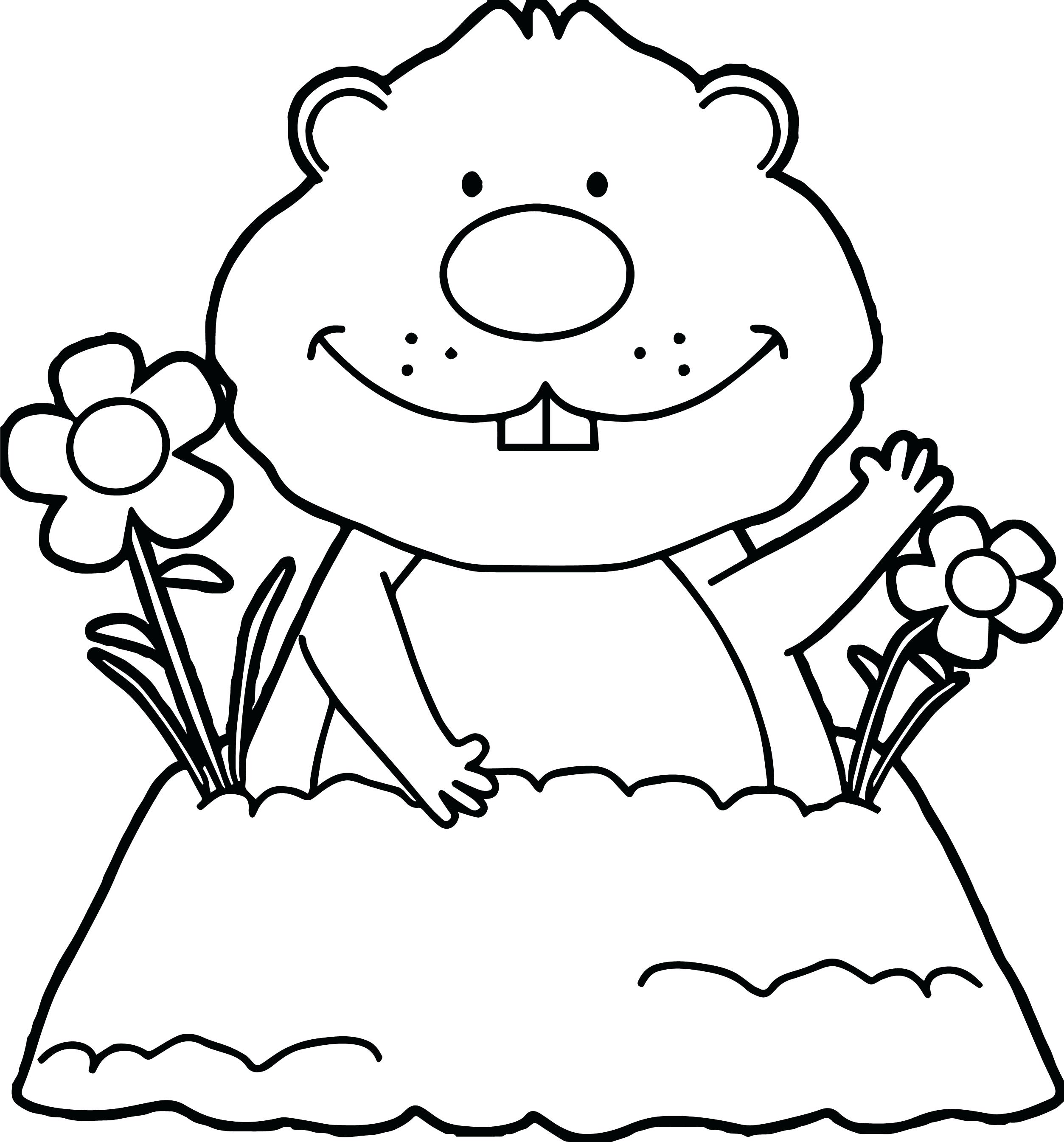 Groundhog coloring pages