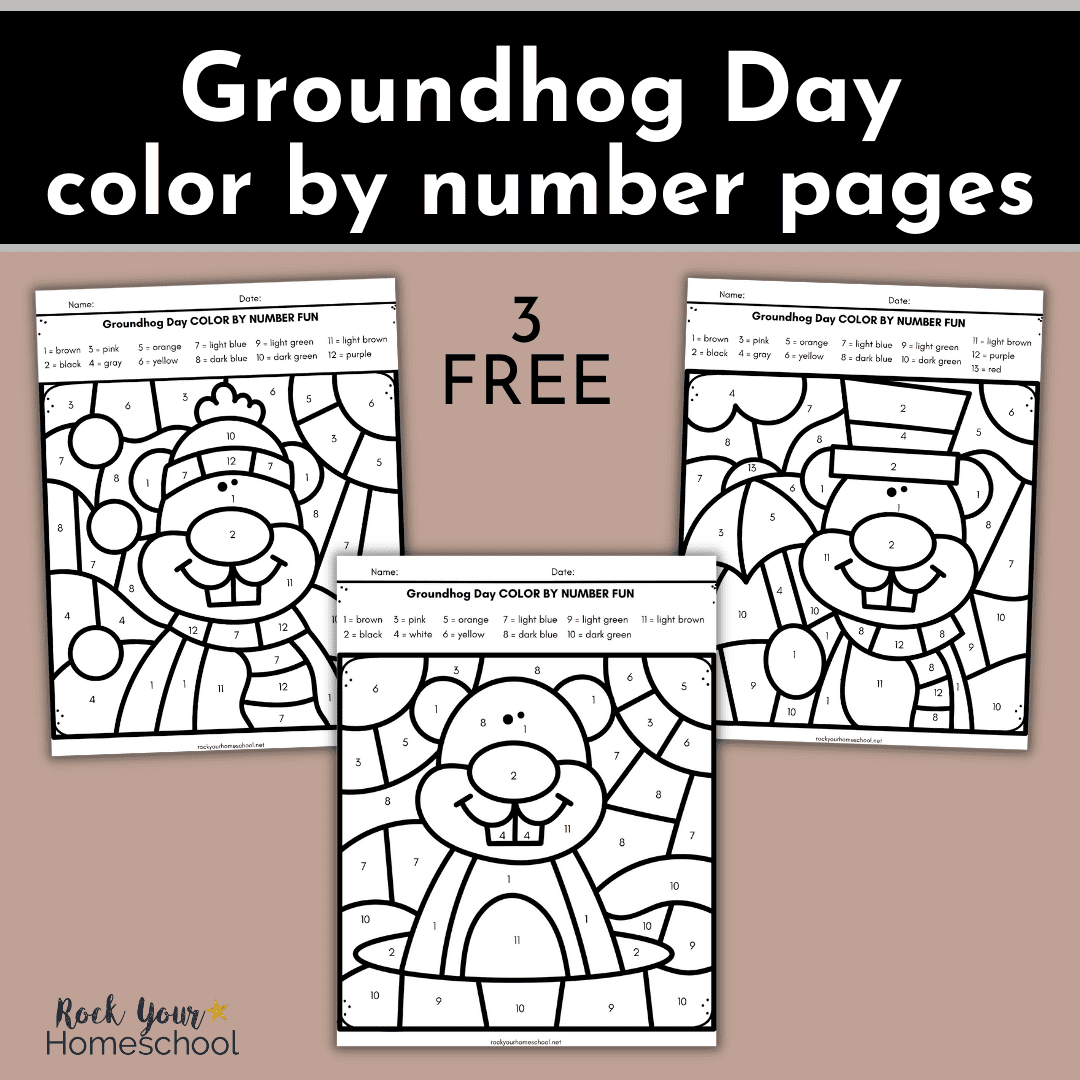 Groundhog day color by number worksheets