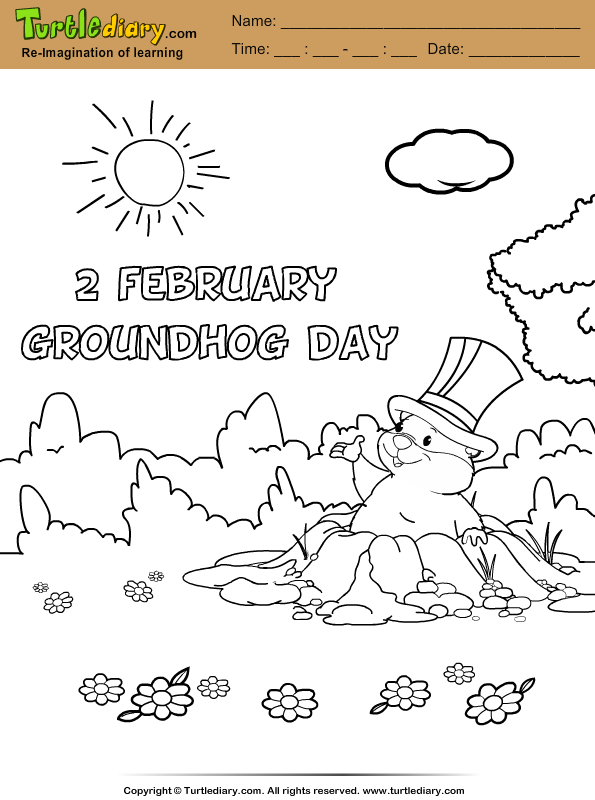 Groundhog day color sheet turtle diary