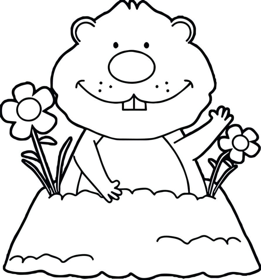 A cute groundhog coloring page