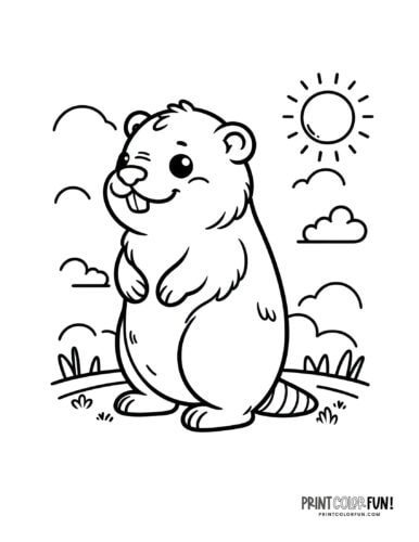 Woodchuck groundhog coloring pages at