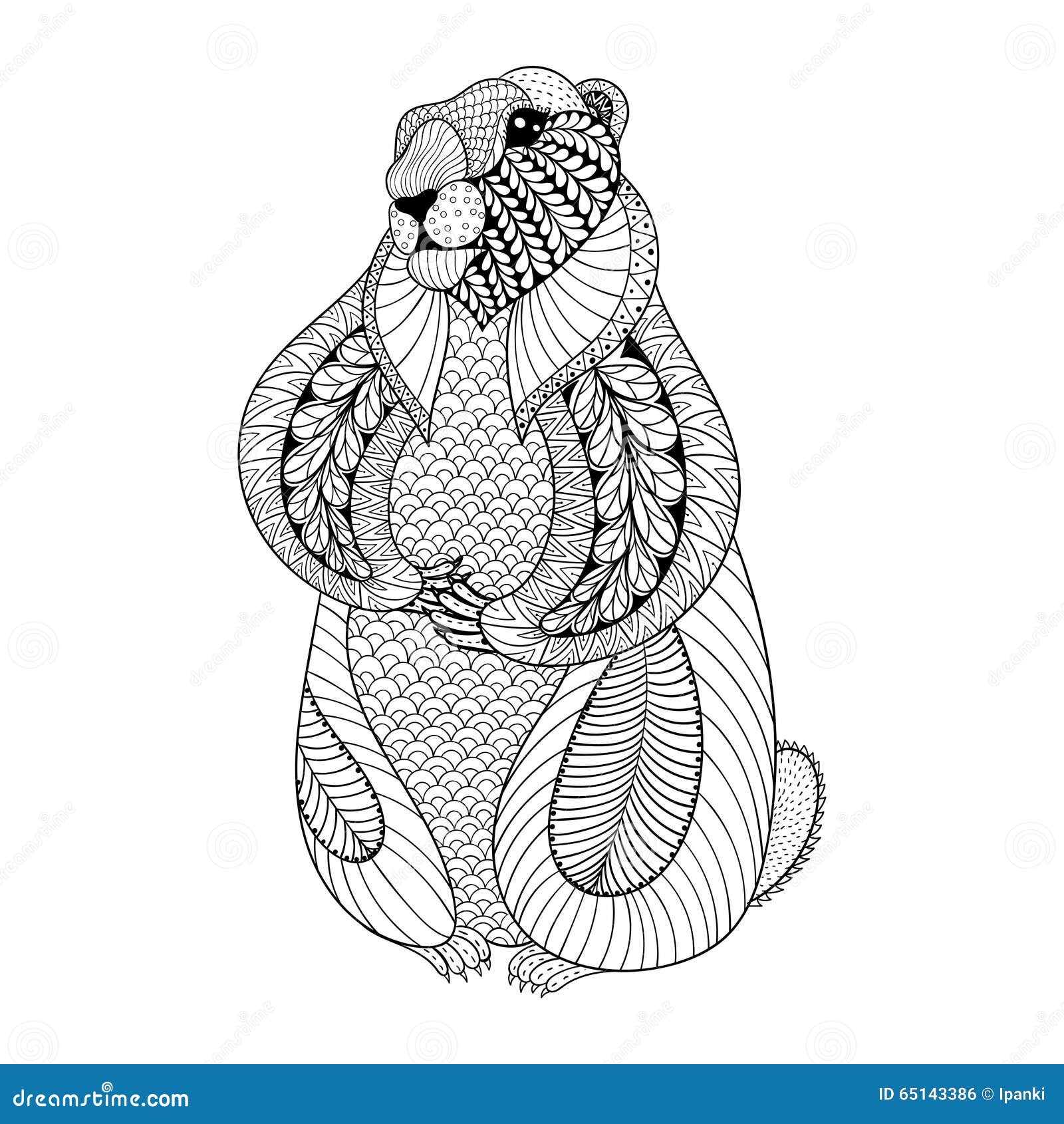 Hand drawn groundhog for adult coloring pages in doodle stock vector