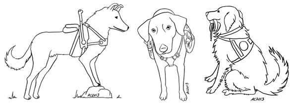 Service dogs antemortem arts art writing by amy crook