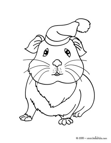 Guinea pig wearing a hat coloring pages