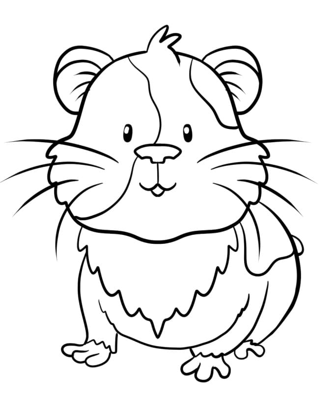 Cute guinea pig coloring page