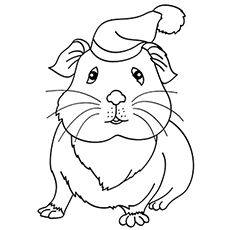Top free printable guinea pig coloring pages online animal coloring pages guinea pigs coloring pages