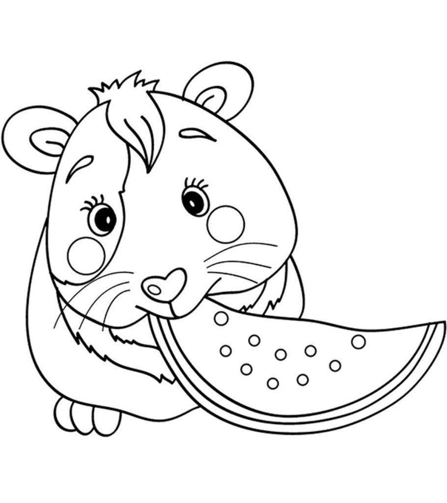 Top free printable guinea pig coloring pages online