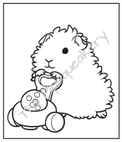 Pigglepuff guinea pig coloring book â the pipsqueakery