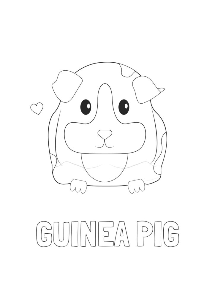 Adorable kids pet guinea pig colouring page