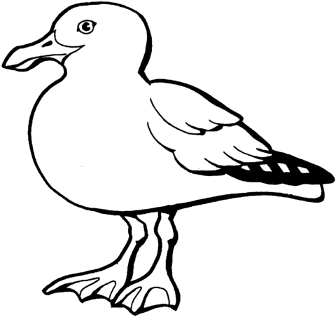 California gull coloring page free printable coloring pages pãginas para colorear lindas animales para pintar dibujos para colorear