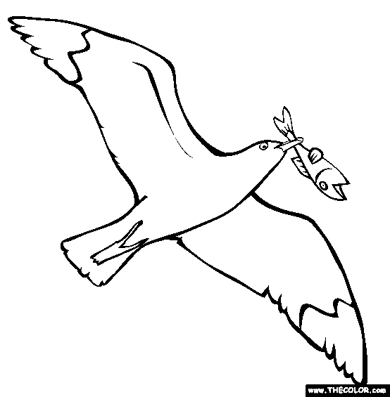 Flying seagull online coloring page