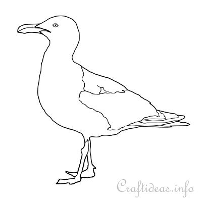 Seagull coloring page seagull silhouette