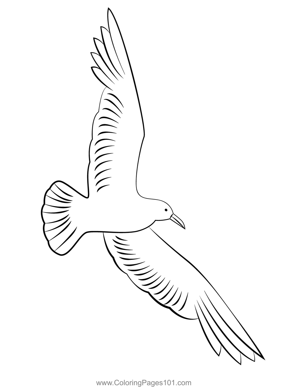 Flying seagull coloring page for kids