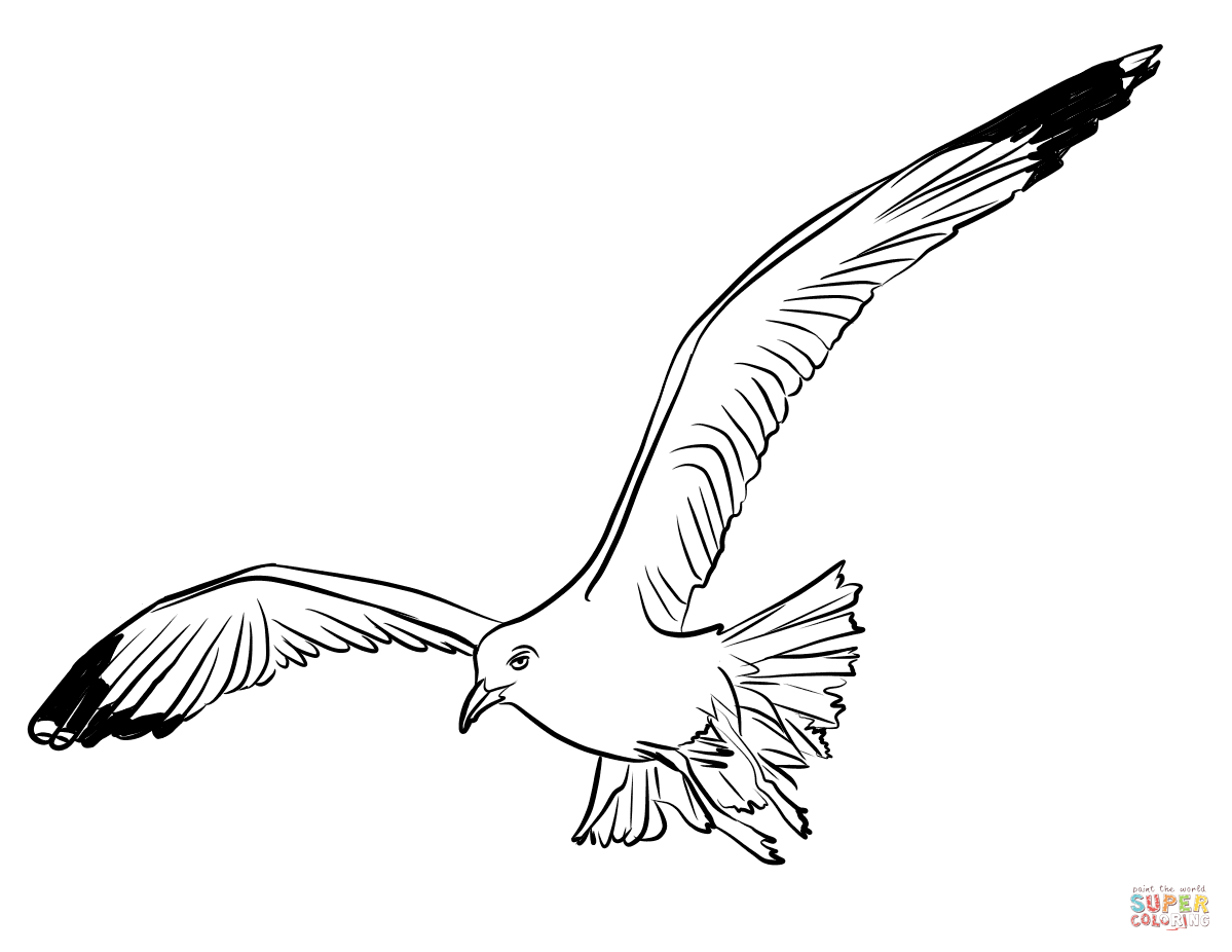 Flying seagull coloring page free printable coloring pages