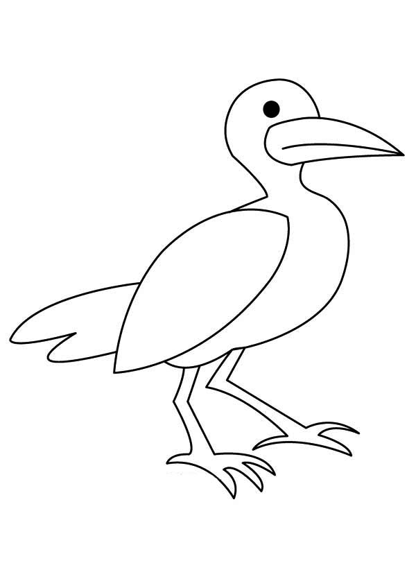 Seagull coloring pages