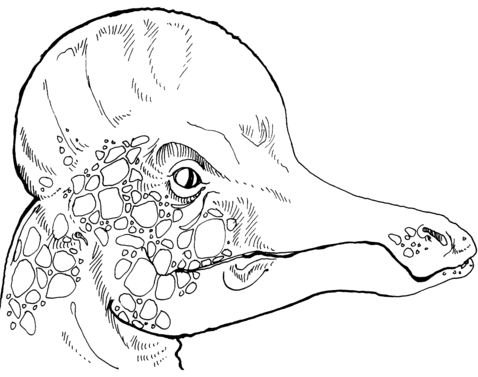 Hadrosaurus coloring pages printable for free download