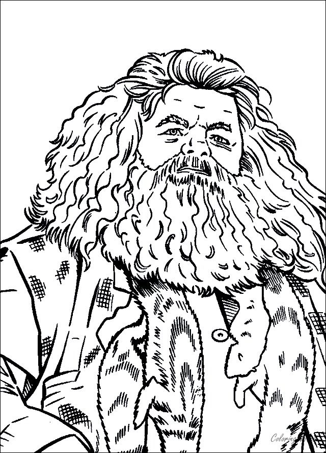 Harry potter coloring pages rubeus hagrid harry potter coloring pages harry potter coloring book harry potter drawings