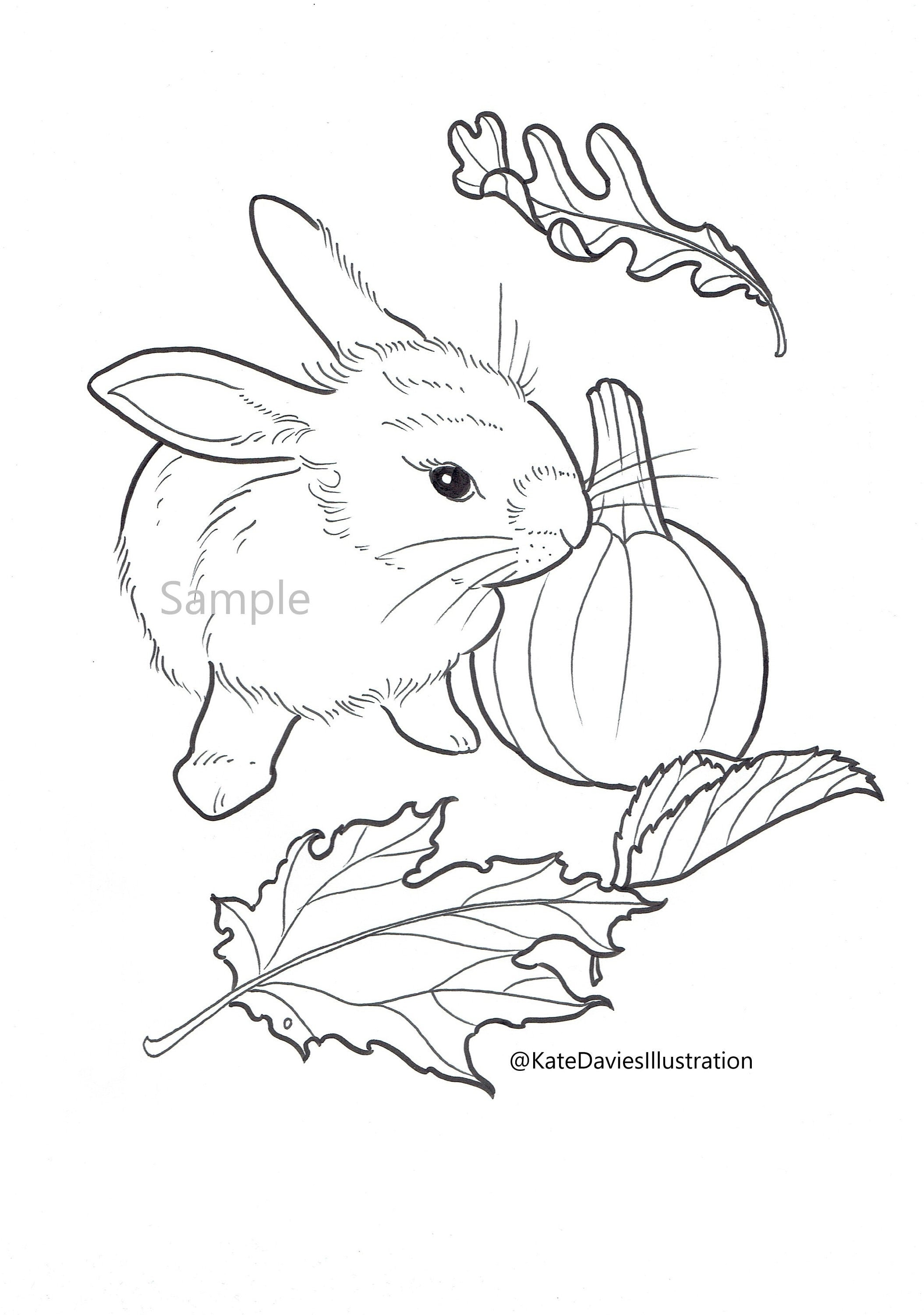 Halloween autumn rabbit colouring pages