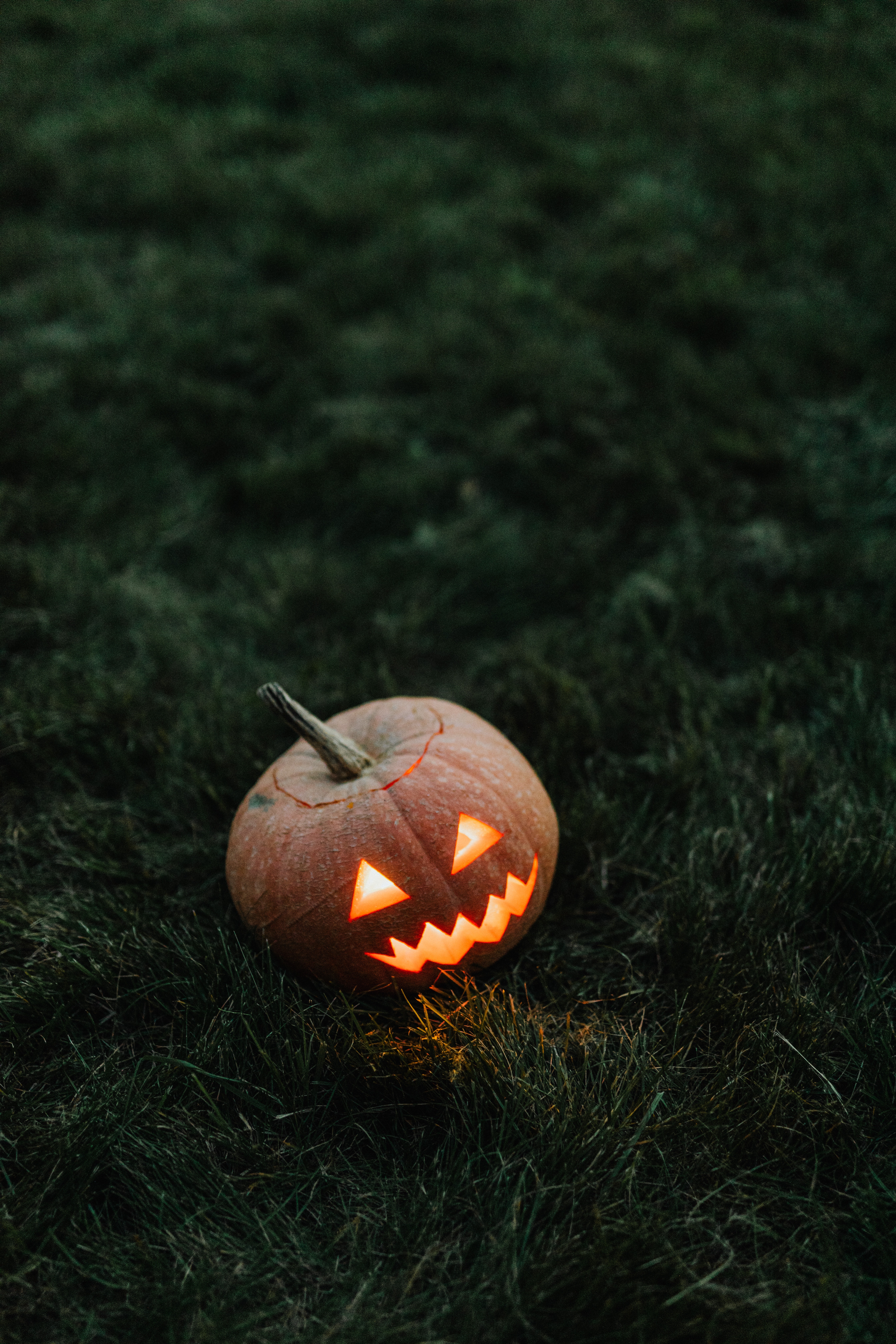 Halloween wallpaper photos download free halloween wallpaper stock photos hd images