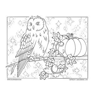 Halloween owl coloring page