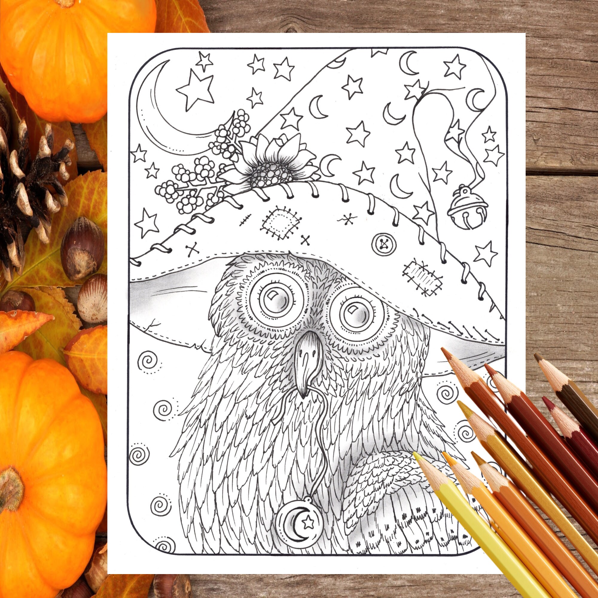 Little witchy owl coloring page fall and halloween coloring pdf digital instant download