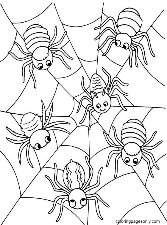 Halloween spider coloring pages printable for free download