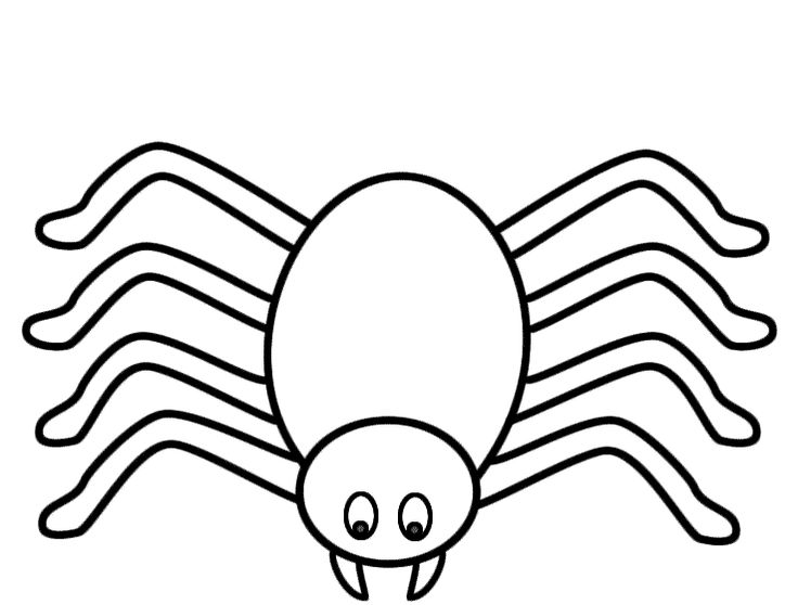 Coloring page spider spider coloring page spiderman coloring animal coloring pages