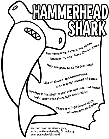 Hammerhead shark coloring page