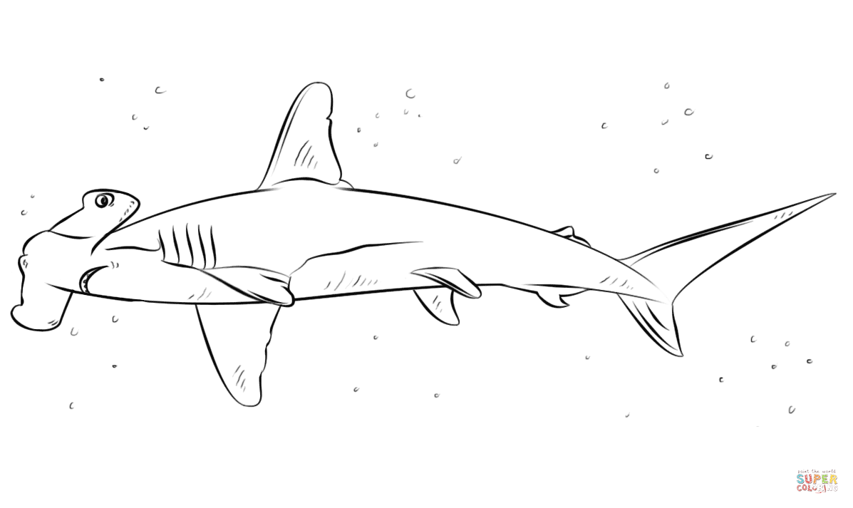 Hammerhead shark coloring page free printable coloring pages