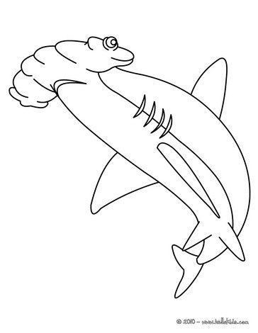 The great hammerhead shark coloring page let your imagination soar and color this great hammerhead sâ shark coloring pages animal coloring pages coloring pages