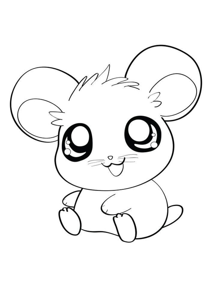 Dwarf hamster coloring pages unicorn coloring pages coloring books detailed coloring pages