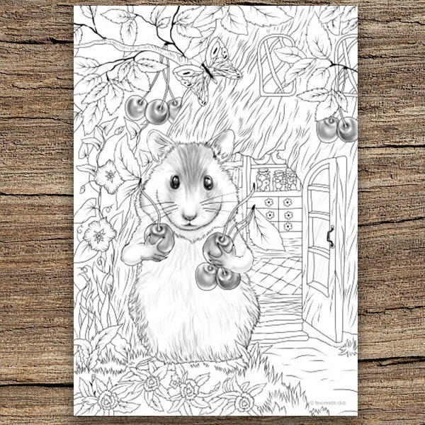 Hamster printable adult coloring page from favoreads coloring book pages for adults and kids coloring sheets coloring designs
