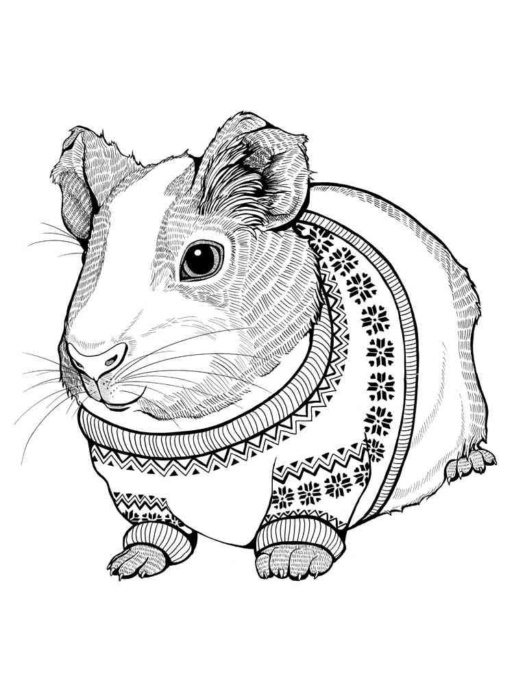 Hamster coloring pages for adults