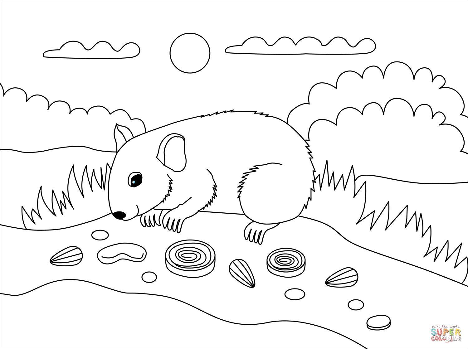 Hamster coloring page free printable coloring pages