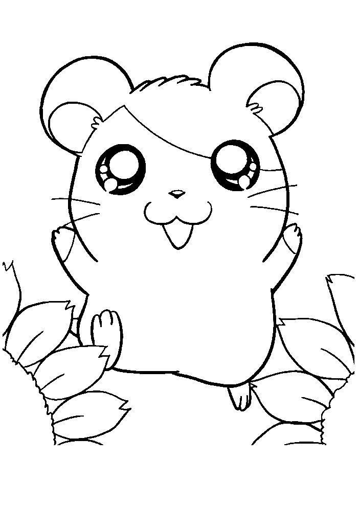 Cute hamster coloring pages cute coloring pages coloring pages animal coloring pages