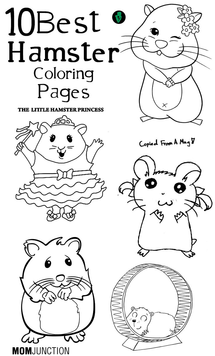 Top free printable hamster coloring pages online toddler coloring book coloring pages for kids cute hamsters