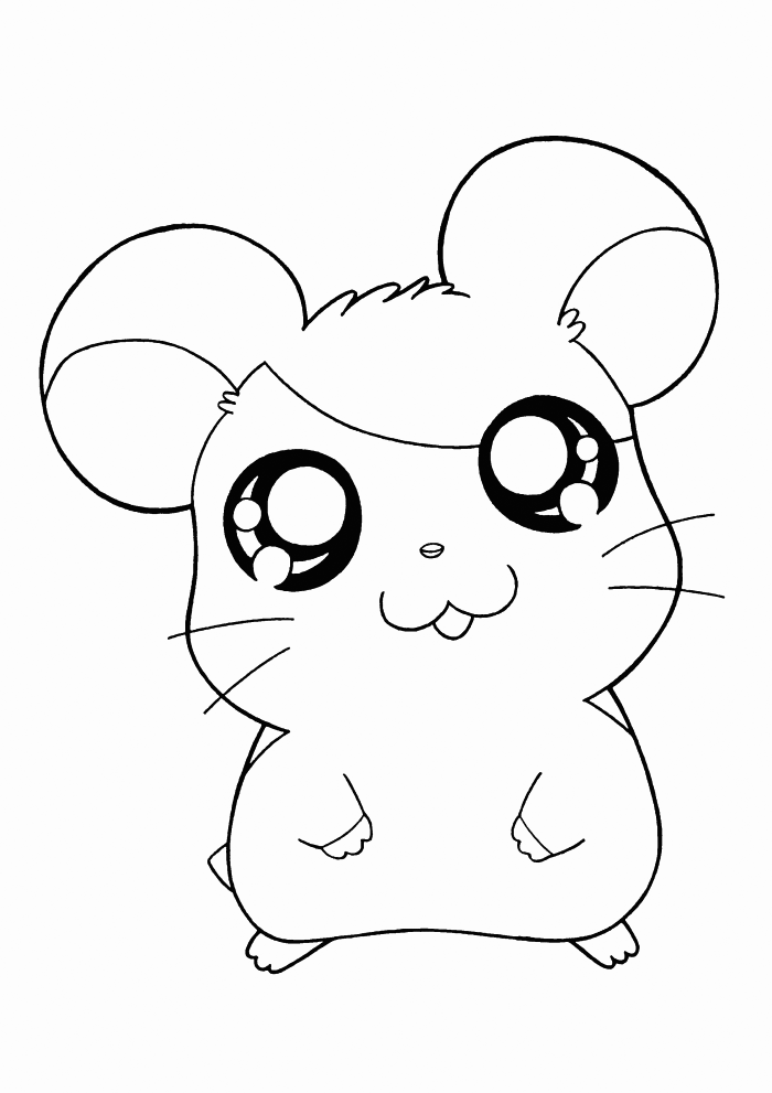 Hamster coloring pages