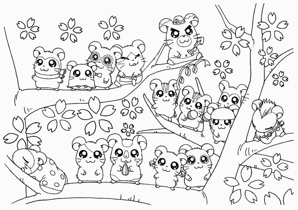 Hamster coloring pages